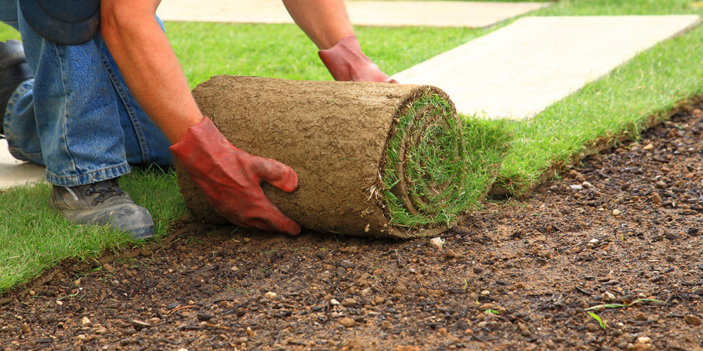 Photo Of Man changing putting new grass